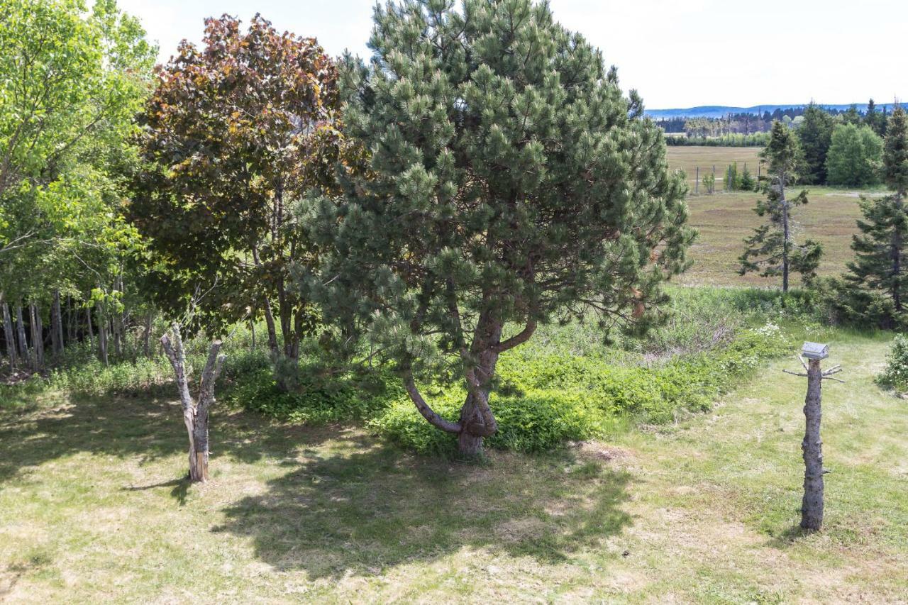 Fox Point Inn Parrsboro Экстерьер фото